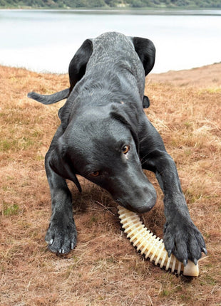 Flufflehorn Dental Antler - Indestructible Nylon Dog Chew Toy XL | USA Made