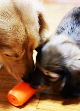 Can Toy Rubber Dog Chew Toy for Average Chewers | Treat Dispenser | USA Made
