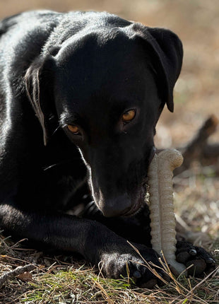 Tough Bone Nylon Chew Bone | Ultra-Durable Dog Toy for Aggressive Chewers | SodaPup
