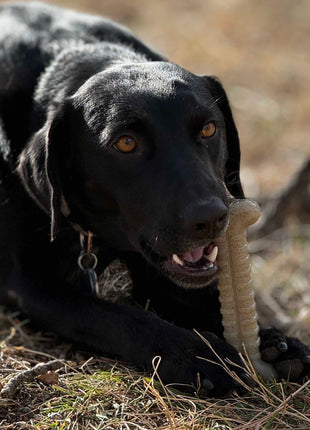 Tough Bone Nylon Chew Bone | Ultra-Durable Dog Toy for Aggressive Chewers | SodaPup