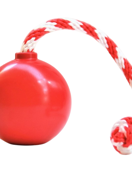 USA-K9 Cherry Bomb Rubber Dog Chew Toy | K9 Handler Reward Toy | Blue | USA Made
