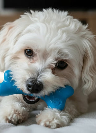 PUP-X Rubber Bone Dog Toy - Durable, Floats, Chew Toy for Large Dogs | USA