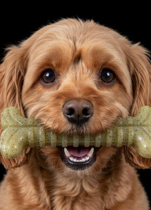 Tough Bone Nylon Chew Bone | Ultra-Durable Dog Toy for Aggressive Chewers | SodaPup