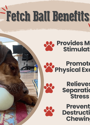 Dog Treat Dispensers