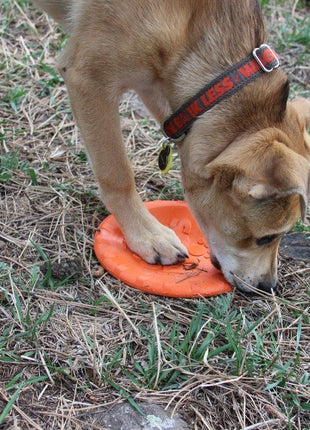 Bottle Top Flyer Rubber Frisbee for Dogs | Orange | Vet Approved | USA Made