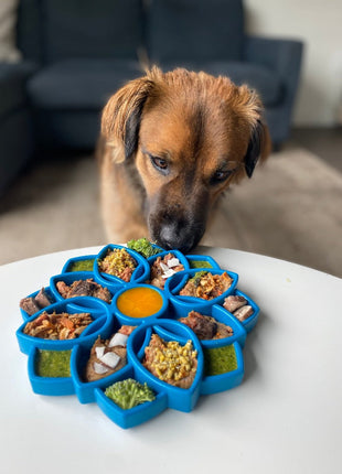Mandala eTray Shallow Slow Feeder Dog Bowl for Enrichment | USA Made