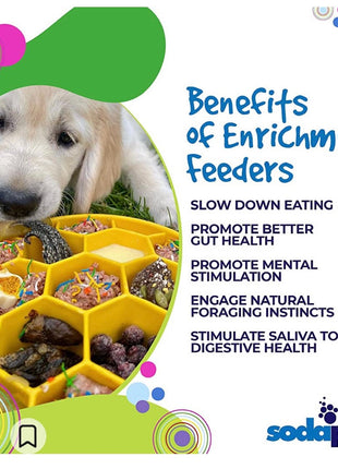 Honeycomb eBowl Deep Slow Feeder Dog Bowl for Enrichment | USA Made