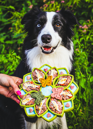 Mandala eTray Shallow Slow Feeder Dog Bowl for Enrichment | USA Made