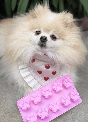 Pet Treat Molds