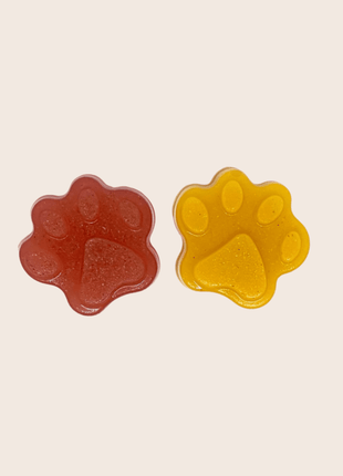 Pet Treat Molds