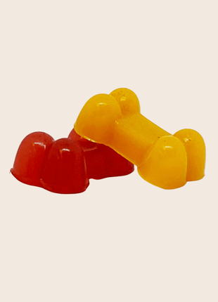 Pet Treat Molds