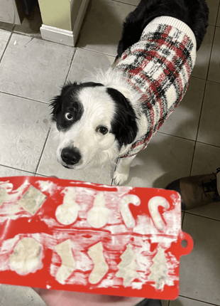Pet Treat Molds
