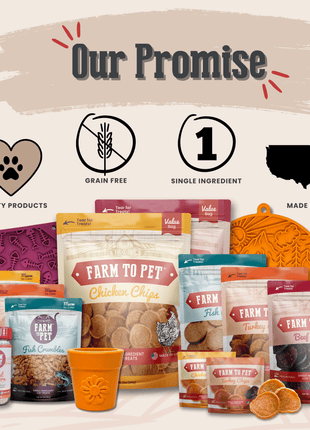 Pet Treat Molds