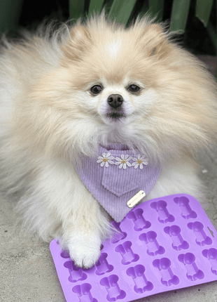 Pet Treat Molds