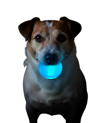Strobe Ball Light-Up Dog Toy - Durable Floating Chew Ball | Made in USA