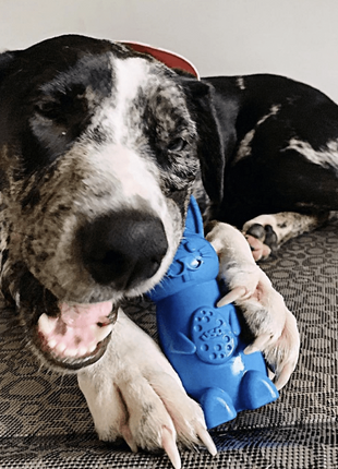 Bunny Nylon Chew Toy for Aggressive Chewers | Durable & USA Made