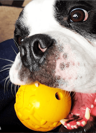 Industrial Dog Ball Rubber Chew Toy for Heavy Chewers | Yellow | USA Made | SodaPup