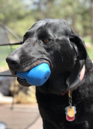 Double Trouble Dog Toy - Dual Chamber Treat Dispenser for Large Dogs | USA Made