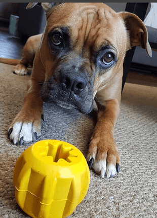 Gear eDispenser - Durable Rubber Yak Chew Holder & Treat Pocket | USA Made