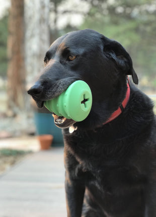 Christmas Tree Dog Toy - Durable Rubber Chew Toy for Large Dogs | USA Made