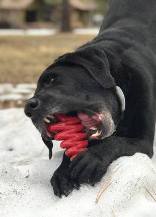 Christmas Tree Nylon Dog Chew Toy for Aggressive Chewers | USA Made & FDA Compliant