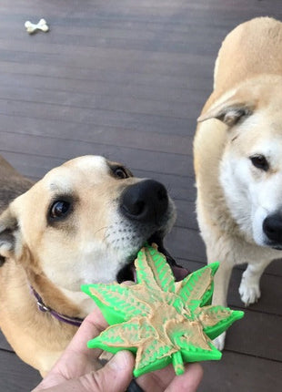 Colorado Maple Leaf Nylon Dog Chew Toy for Aggressive Chewers | USA Made