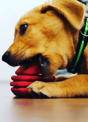 Heart on a String Dog Toy - Durable Rubber Tug Toy for Large Dogs | USA Made