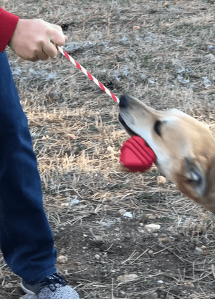 Heart on a String Dog Toy - Durable Rubber Tug Toy for Large Dogs | USA Made