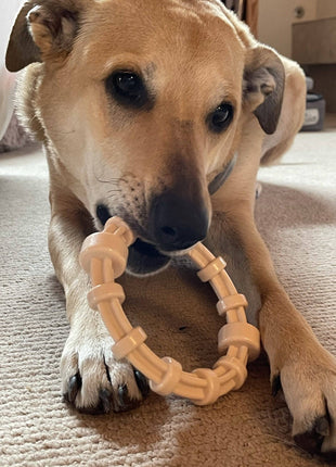 Chicken Flavored Teething Ring for Puppies & Aggressive Chewers | USA Made