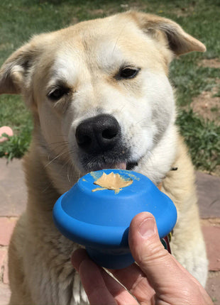 Flying Saucer Dog Toy - Durable UFO Chew Toy & Treat Dispenser | USA Made