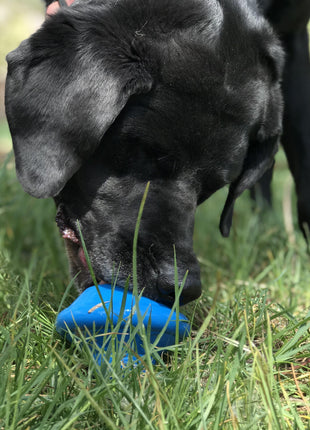 Flying Saucer Dog Toy - Durable UFO Chew Toy & Treat Dispenser | USA Made