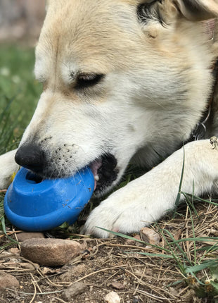 Flying Saucer Dog Toy - Durable UFO Chew Toy & Treat Dispenser | USA Made