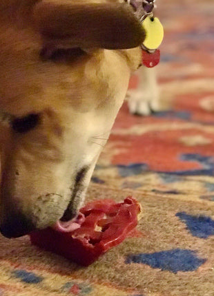 Cherry Pie Nylon Dog Chew Toy for Aggressive Chewers | USA Made | SodaPup