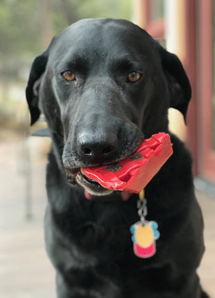 Cherry Pie Nylon Dog Chew Toy for Aggressive Chewers | USA Made | SodaPup