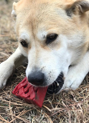 Cherry Pie Nylon Dog Chew Toy for Aggressive Chewers | USA Made | SodaPup