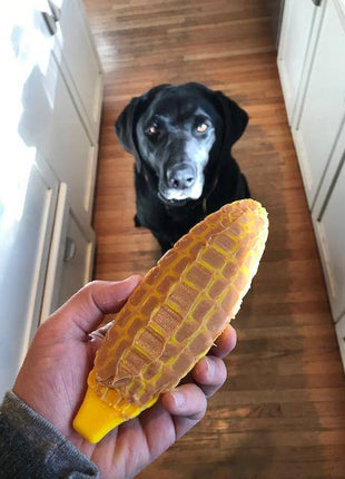 Corn on the Cob Nylon Dog Toy for Aggressive Chewers | USA Made | SodaPup
