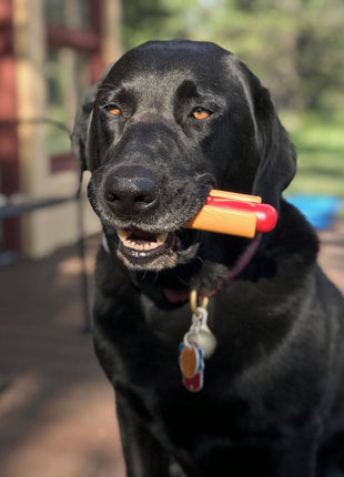 Hot Dog Nylon Dog Toy for Aggressive Chewers | USA Made | SodaPup
