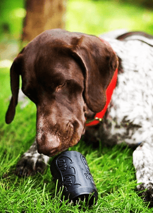Magnum Can Toy Rubber Dog Chew Toy for Extreme  Chewers | Treat Dispenser | USA Made