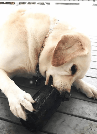 Magnum Can Toy Rubber Dog Chew Toy for Extreme  Chewers | Treat Dispenser | USA Made