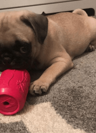 Puppy Can Toy Rubber Chew Toy for Teething Puppies | Treat Dispenser | USA Made