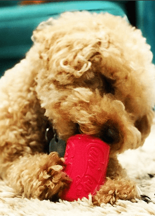 Puppy Can Toy Rubber Chew Toy for Teething Puppies | Treat Dispenser | USA Made
