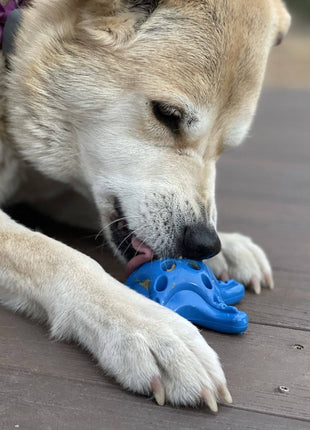 Starfish Nylon Dog Chew Toy for Aggressive Chewers | USA Made | SodaPup