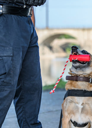 USA-K9 Firecracker Floating Training Dummy | K9 Handler Reward Toy | Red | USA Made