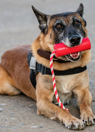 USA-K9 Firecracker Floating Training Dummy | K9 Handler Reward Toy | Red | USA Made