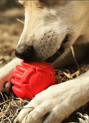 USA-K9 Stars and Stripes Rubber Dog Toy | K9 Handler Reward Toy | Red | USA Made