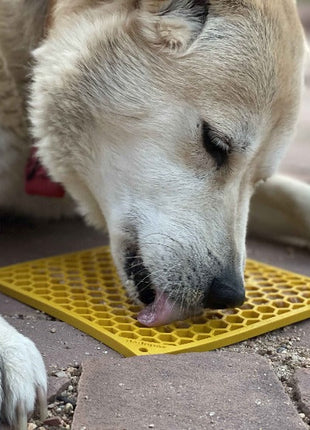 Honeycomb eMat - Enrichment Lick Mat for Dogs and Cats | eMat Enrichment Toy for Anxiety Relief | SodaPup