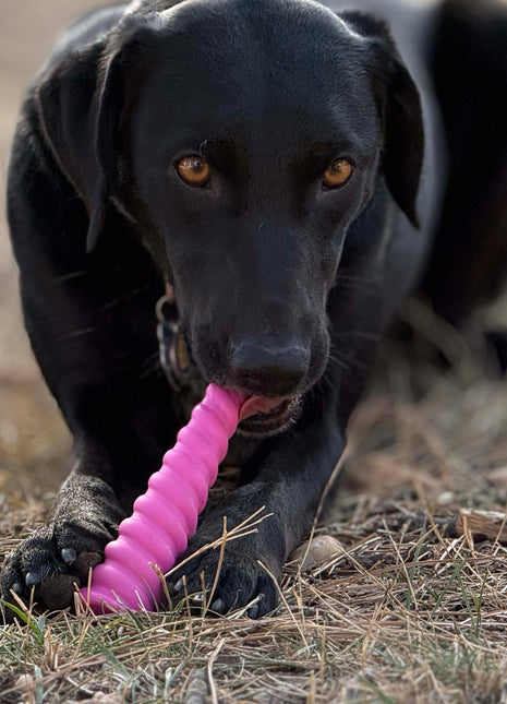 Unicorn Horn Nylon Dog Chew Toy | Durable for Aggressive Chewers | SodaPup